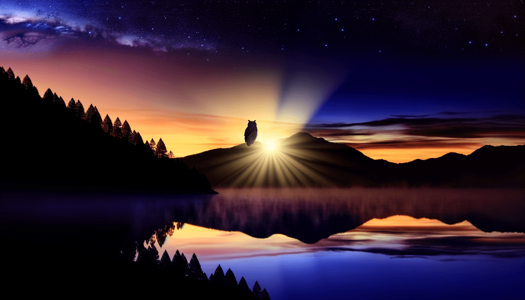 El amanecer nace de la oscuridad; abraza la noche por su sabiduría. — Confucio