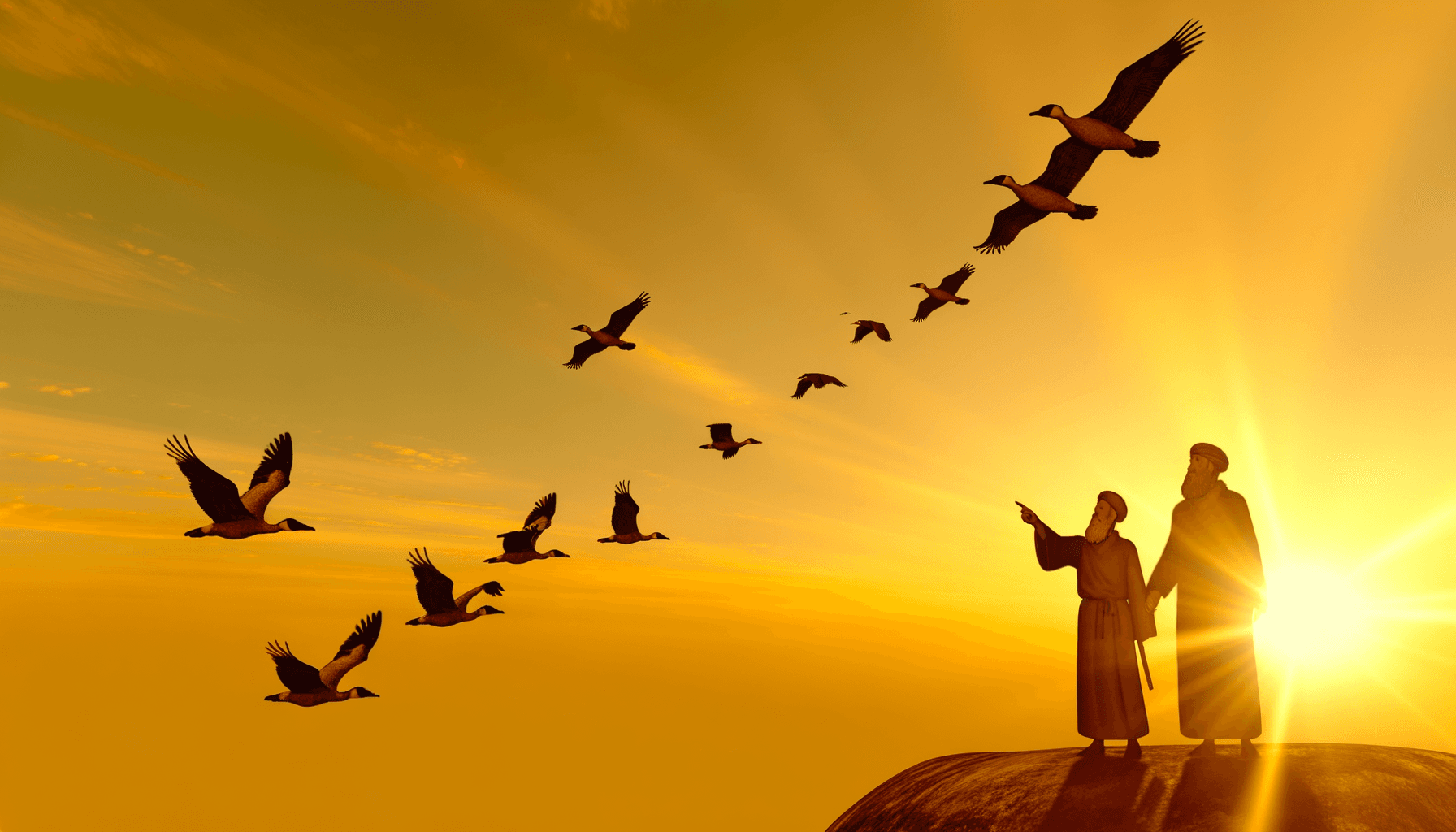 Para liderar, primero debes aprender a seguir. — Proverbio africano