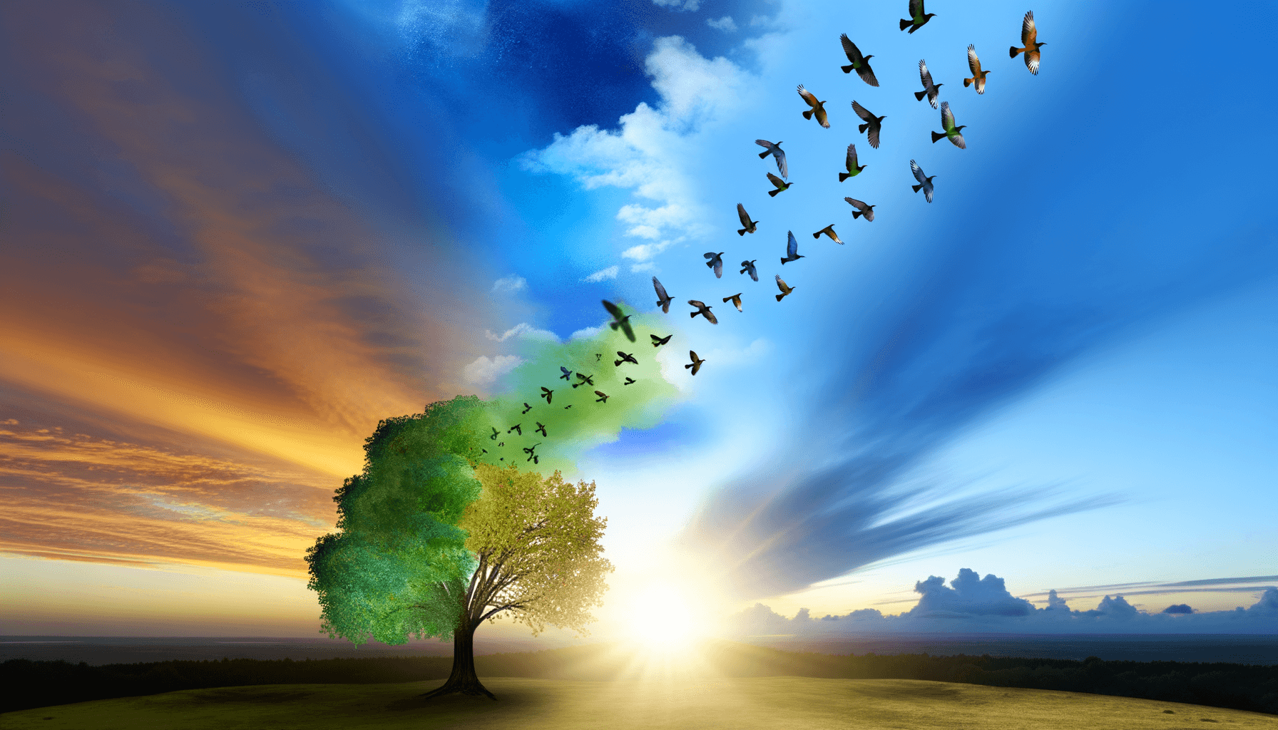 Change is the manifestation of hope in action. — Desmond Tutu