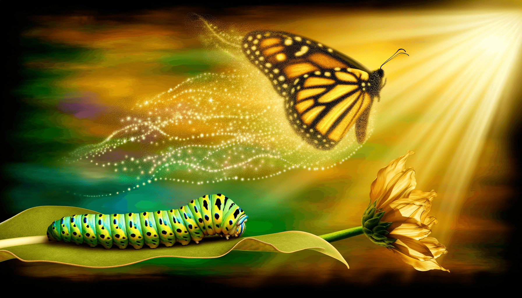 To remain ignorant and content is convenient, but to seek knowledge requires courage. — Albert Camus